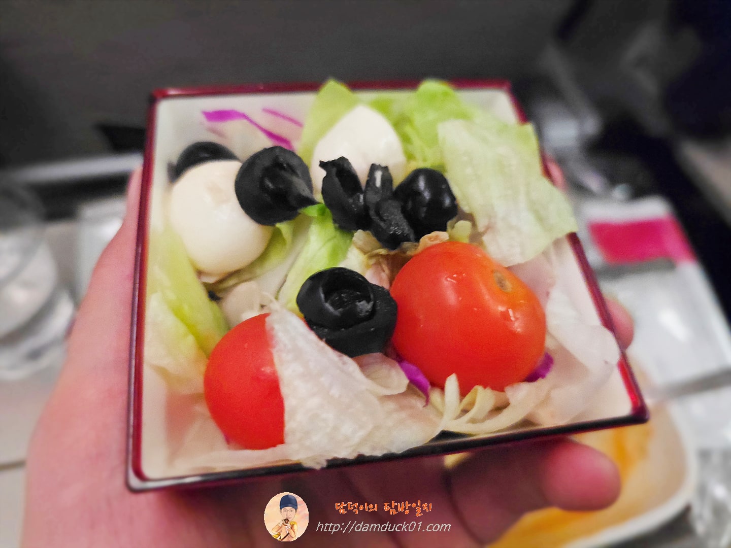 아시아나항공 기내식 샐러드