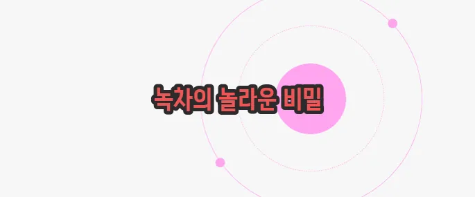 녹차 효능 가볍게 살펴볼까요