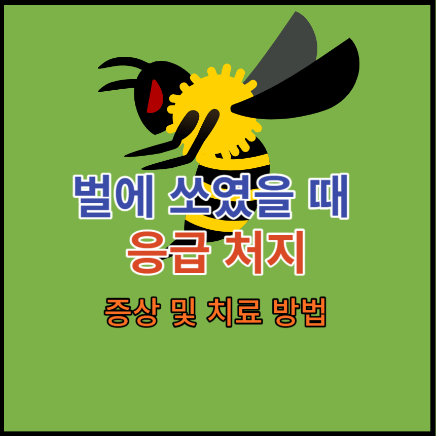 벌에-쏘였을-때
