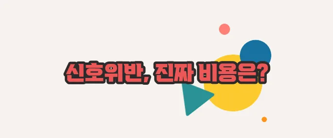 신호위반 과태료 살짝 들여다봅시다