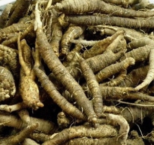 더덕 효능과 부작용 고르는법 칼로리 갱년기