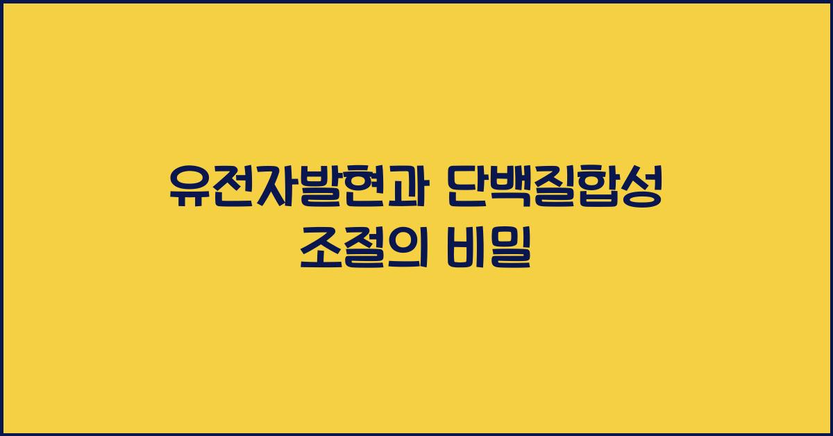 유전자발현, 단백질합성 조절