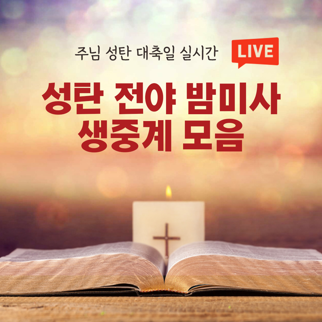 주님성탄대축일 성탄전야미사 밤미사 실시간 스트리밍 명동성당 바티칸 생중계