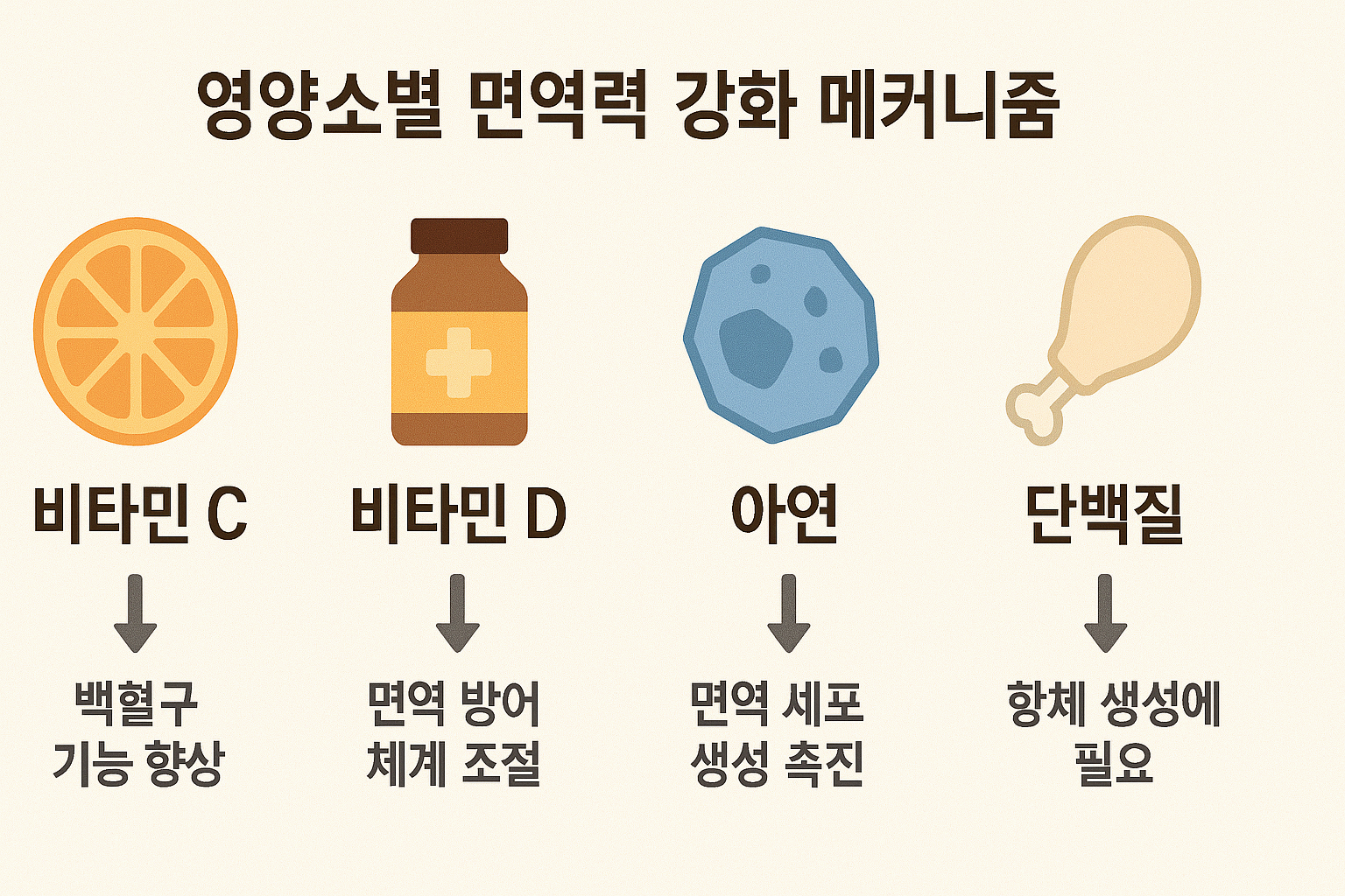 면역력 높이는 음식 BEST 7|건강을 지키는 식단 가이드