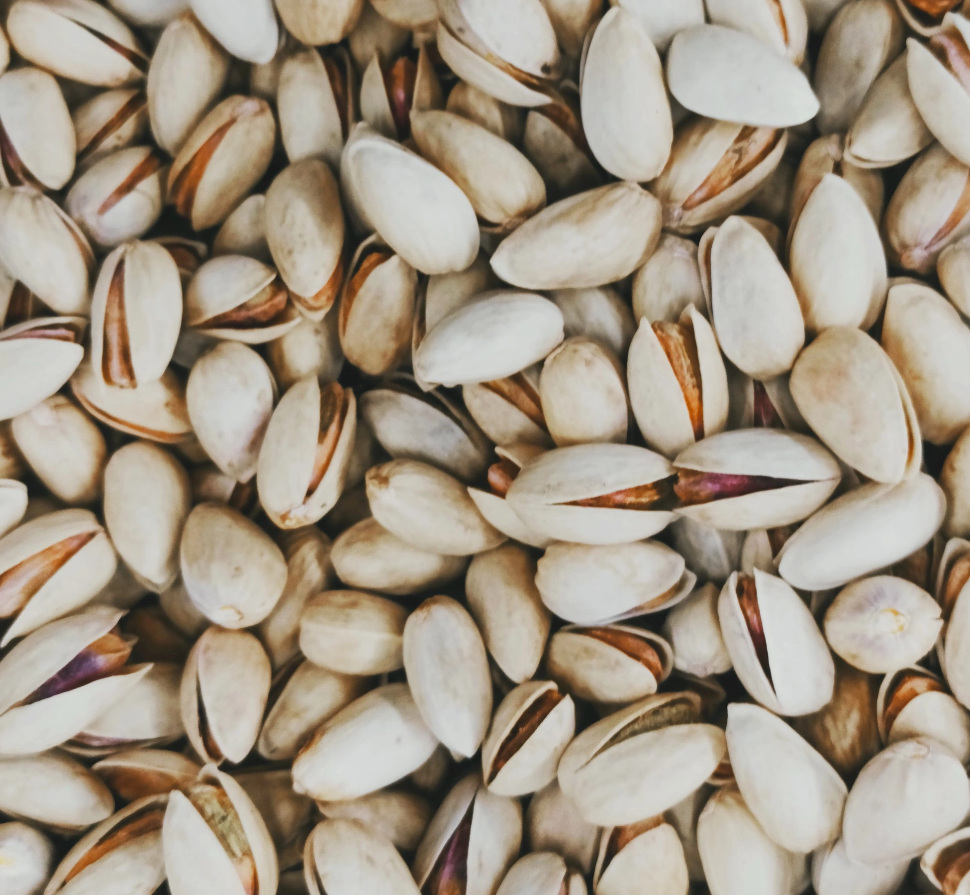 피스타치오 스프레드 만들기