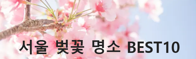 벚꽃