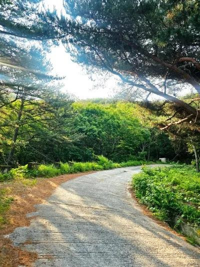 벽도산