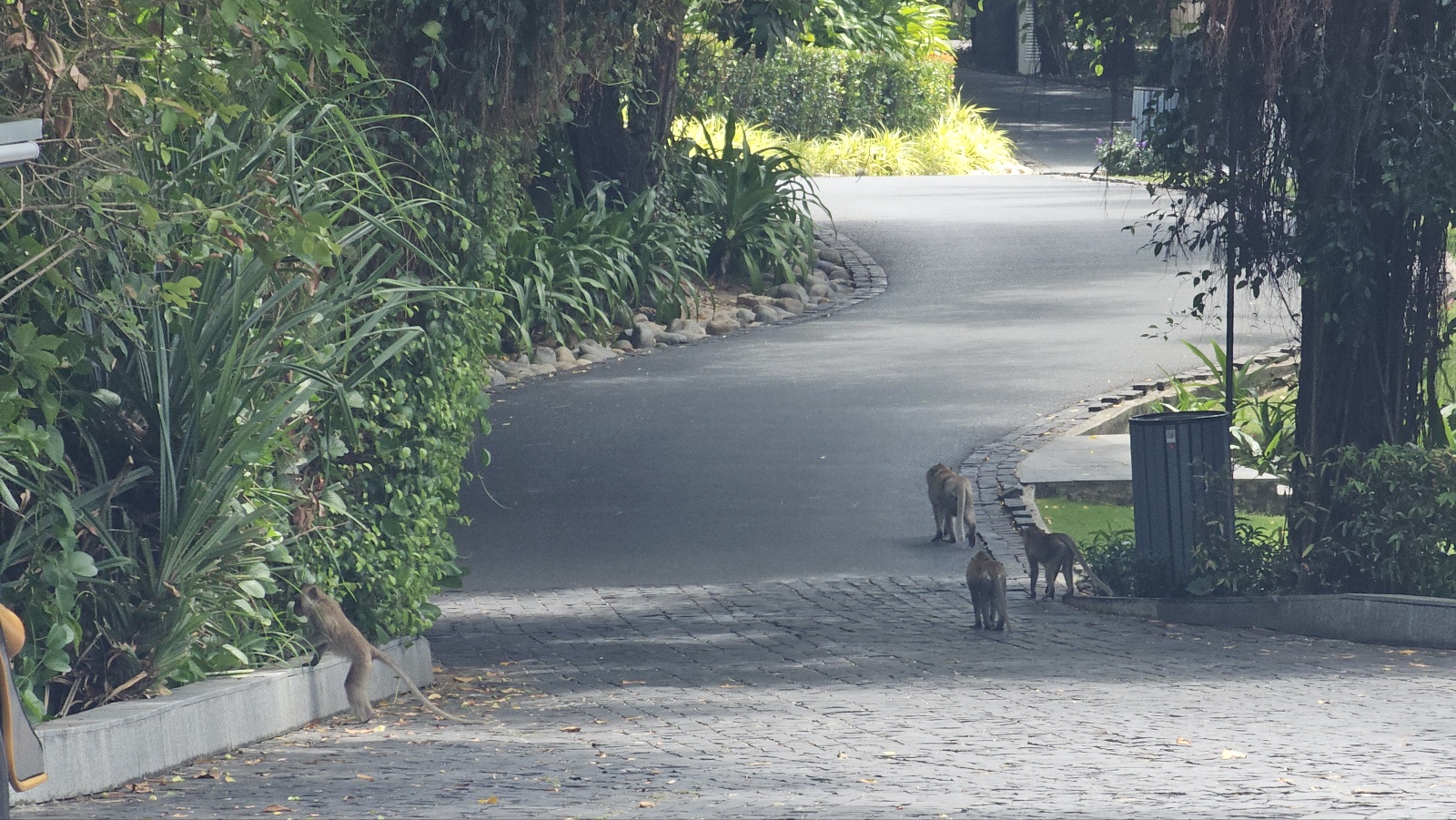 [25.3월] 푸꾸옥 #12❘프리미어 빌리지 체크아웃 / 귀국
