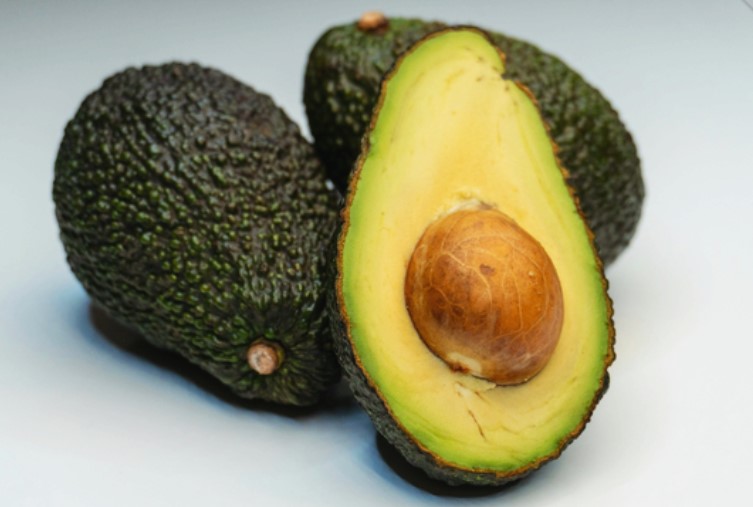 아보카도 사진