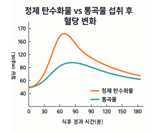 혈당 스파이크 그래프 이미지