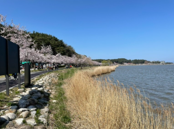 강릉 여행코스 추천