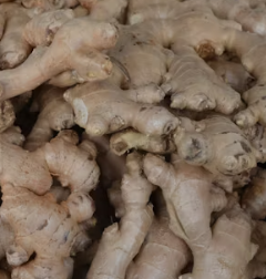 생강 효능 부작용 증상 영양성분 고르는법 칼로리