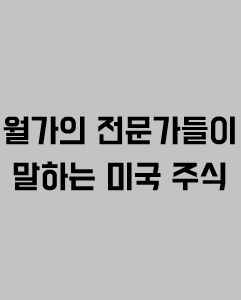 월가의 전문가들이 말하는 미국주식에 관한 이미지 입니다.