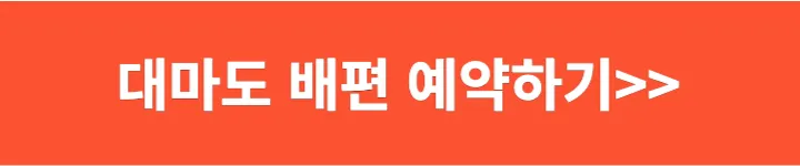 대마도 배편 예약하기