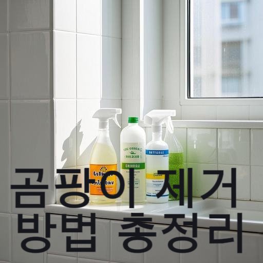 곰팡이 제거 방법 총정리