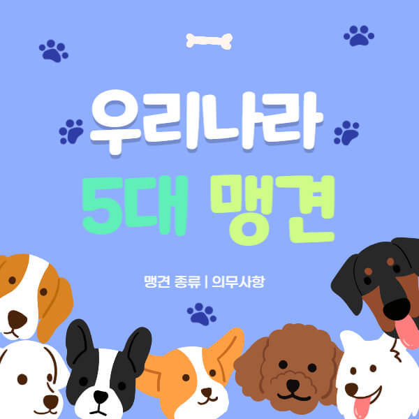 5대맹견_썸네일