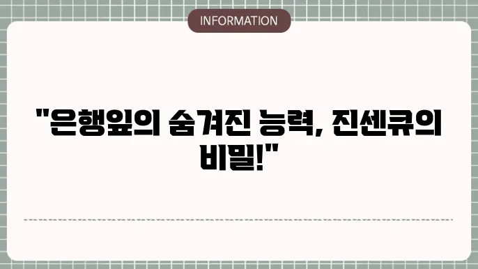 은행잎추출물 효능 은행잎차 아닌 진센큐 찾은 사연