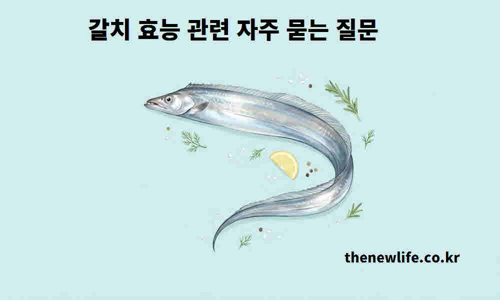 갈치 효능 관련 자주 묻는 질문