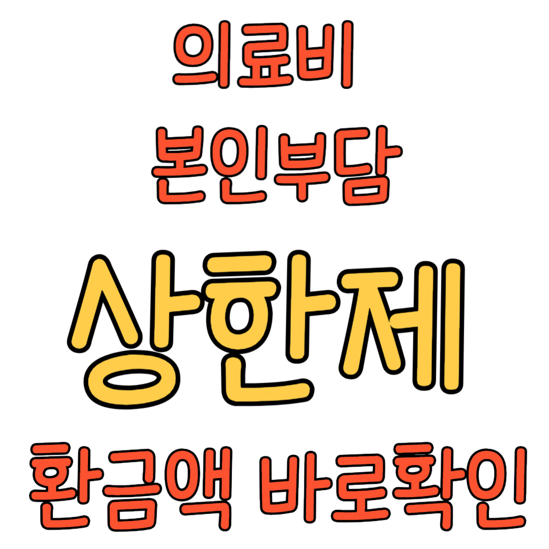 의료비상한제