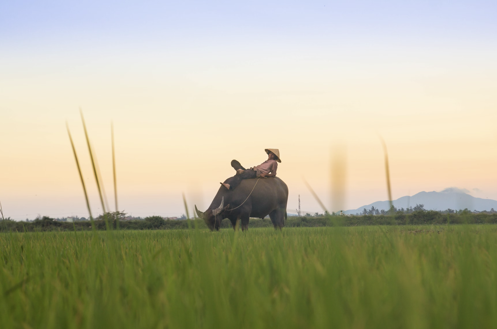 베트남에서 이민으로 새 인생 시작하는 방법 체류 자격 생활 비용 전략4