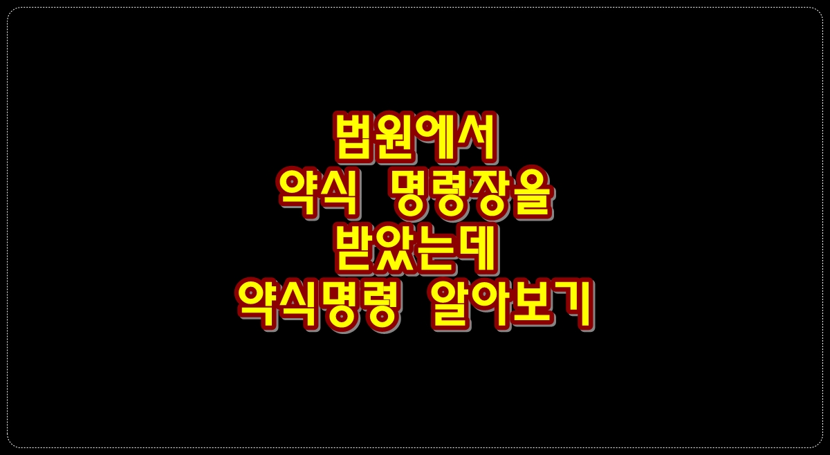 법원에서-받은-약식명령장