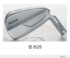 중공구조 아이언