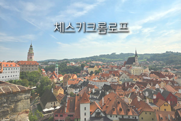 메인