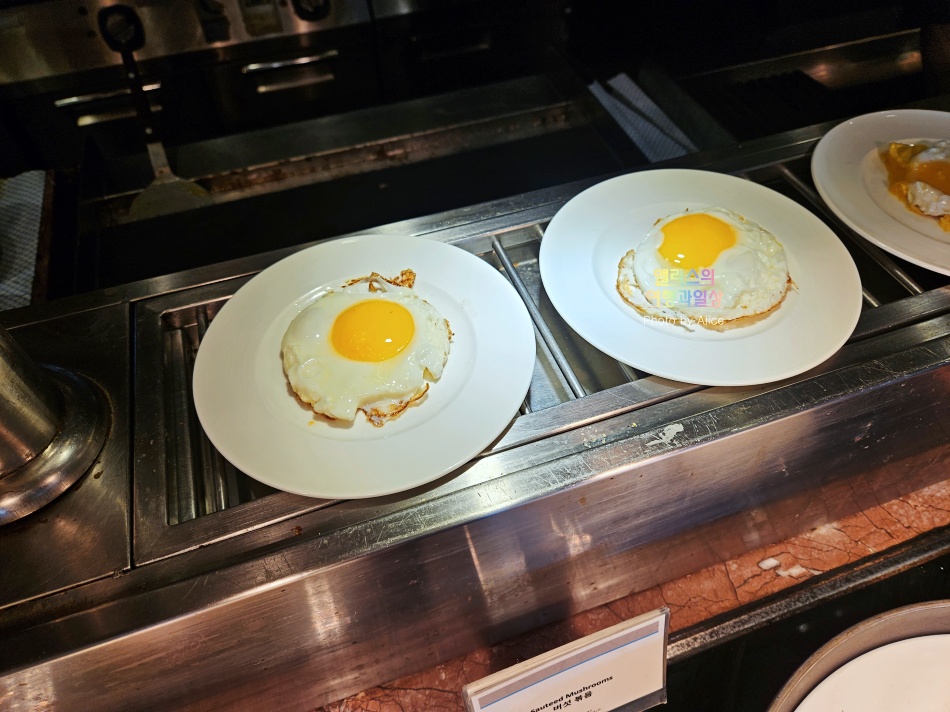 제주신화월드 메리어트 리조트 조식 스카이 온 파이브 다이닝 조식 후기