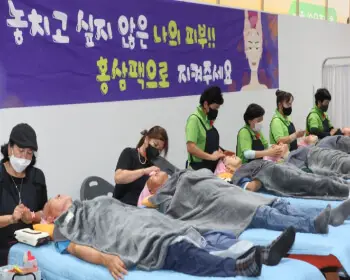 금산 인삼축제_22