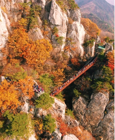 대둔산 단풍 절정시기