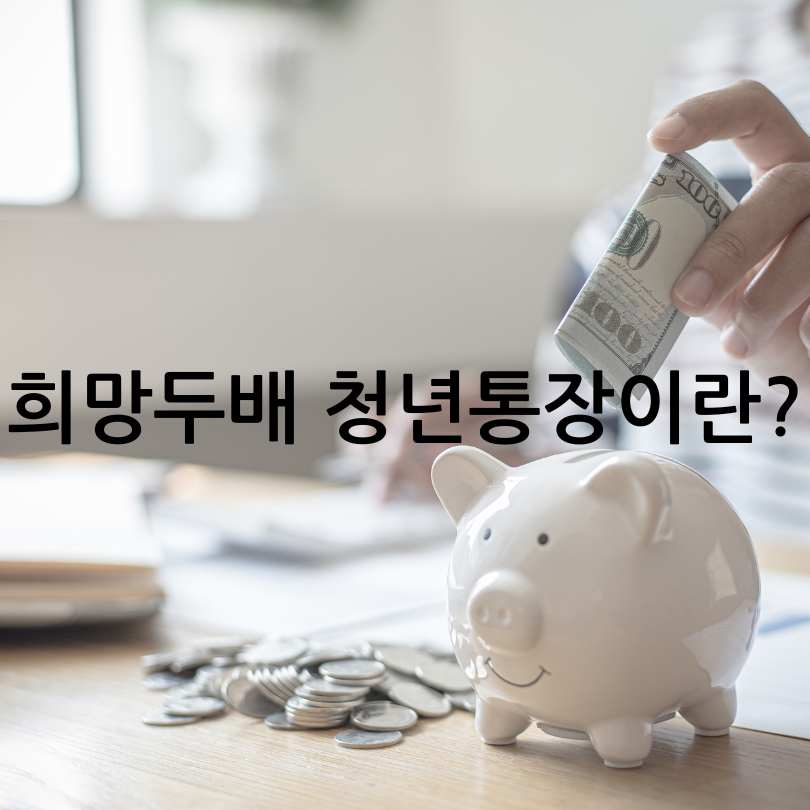 서울시 희망두배 청년통장과 꿈나래 통장