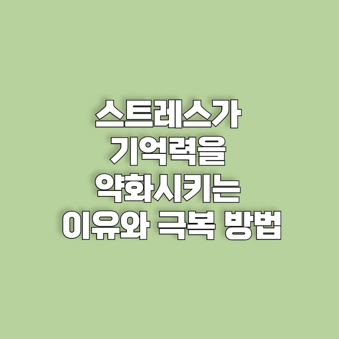 스트레스가 기억력을 약화시키는 이유와 극복 방법
