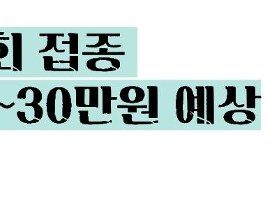 싱그릭스 접종 가격 부작용