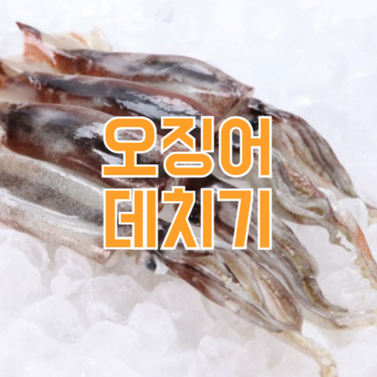 오징어 데치기 맛있게 데치는방법!