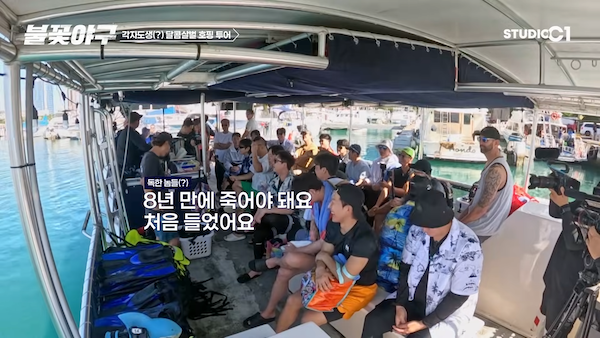 불꽃야구