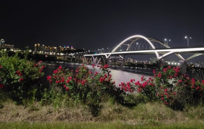 경기도 가을꽃 추천여행지 BEST 4