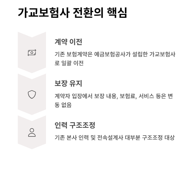 가교보험사 전환의 주요 내용