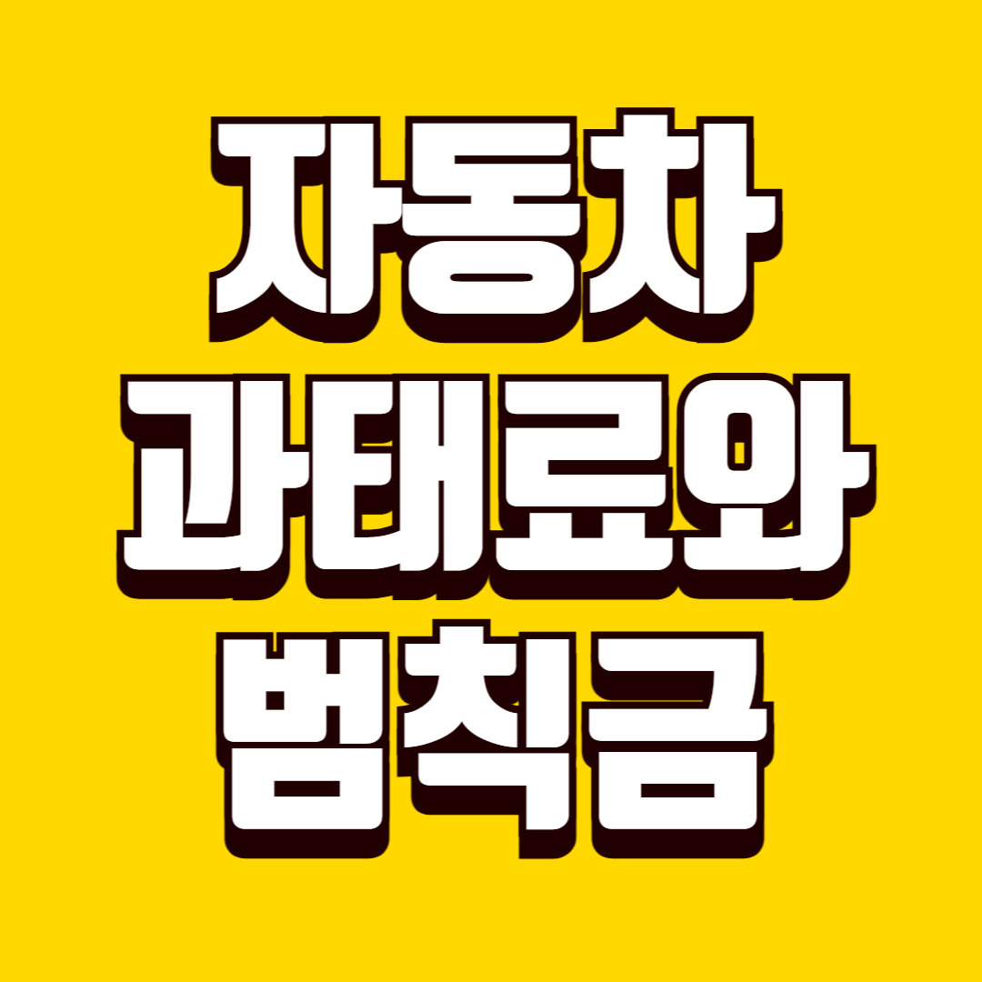 자동차 과태료와 범칙금 차이점, 납부·이의신청 방법