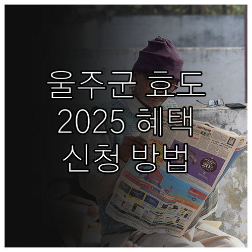 2025 울주군 효도이용권: 어르신을..