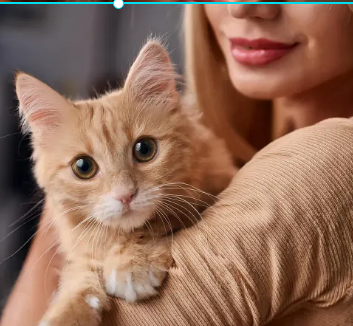 반려동물 절대 먹이면 안되는음식