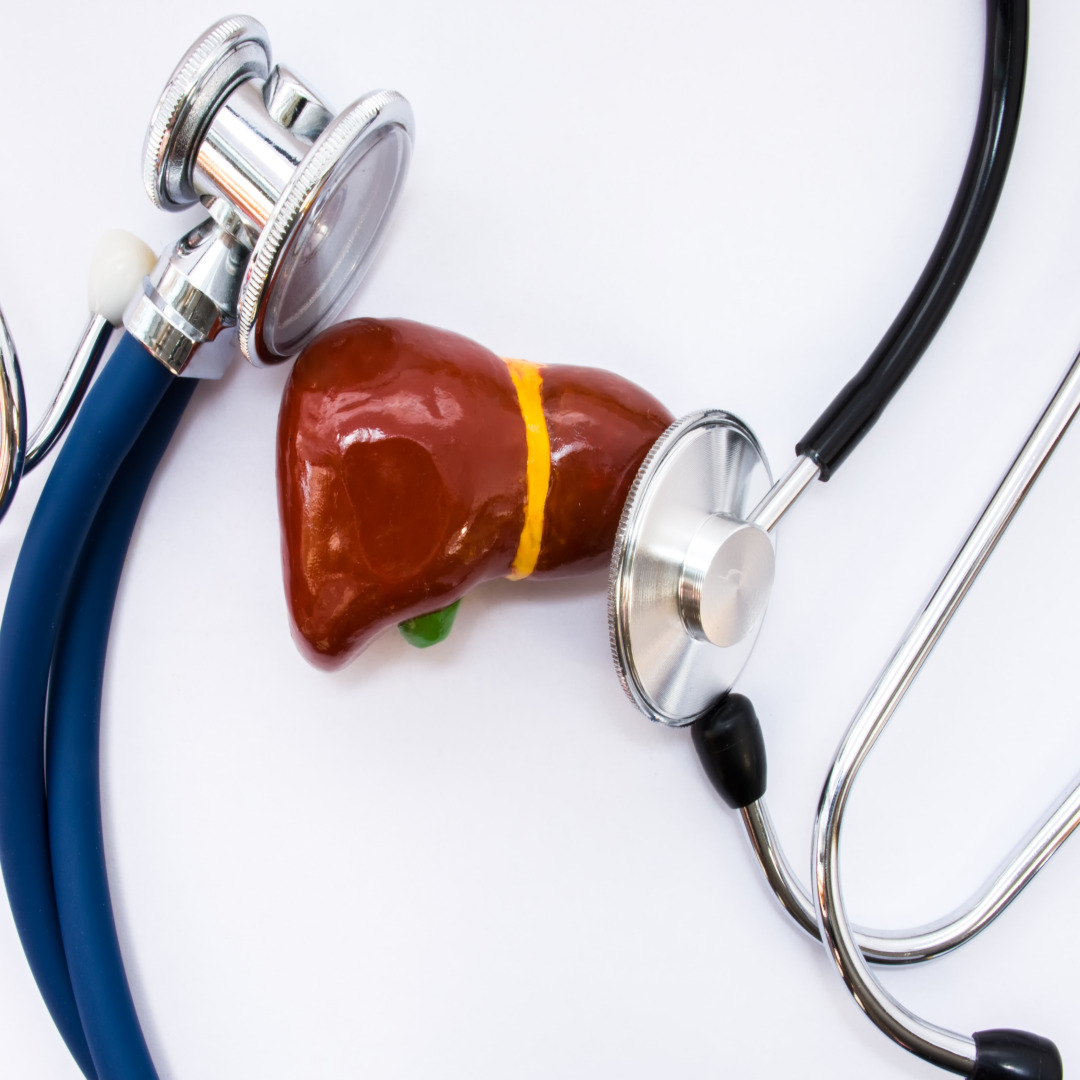 간 건강 중요성 영양제 성분 효능 선택기준