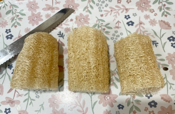 천연수세미 사용후기