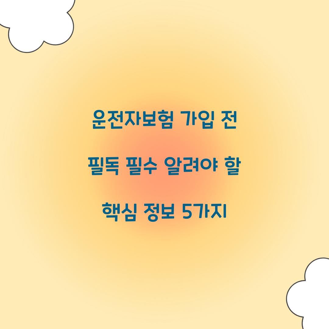 운전자보험 가입 전 필독