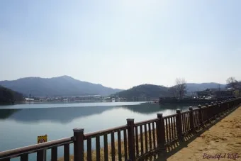 춘천 호수 산책 소양강 스카이워크 닭갈비 동선_8
