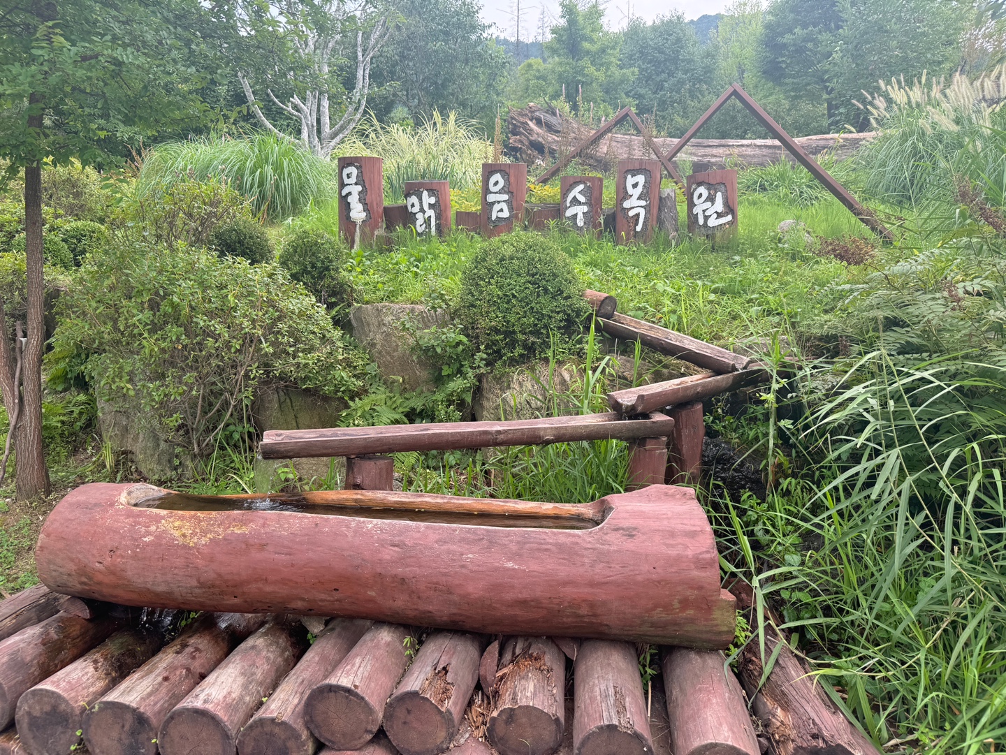 물맑음수목원