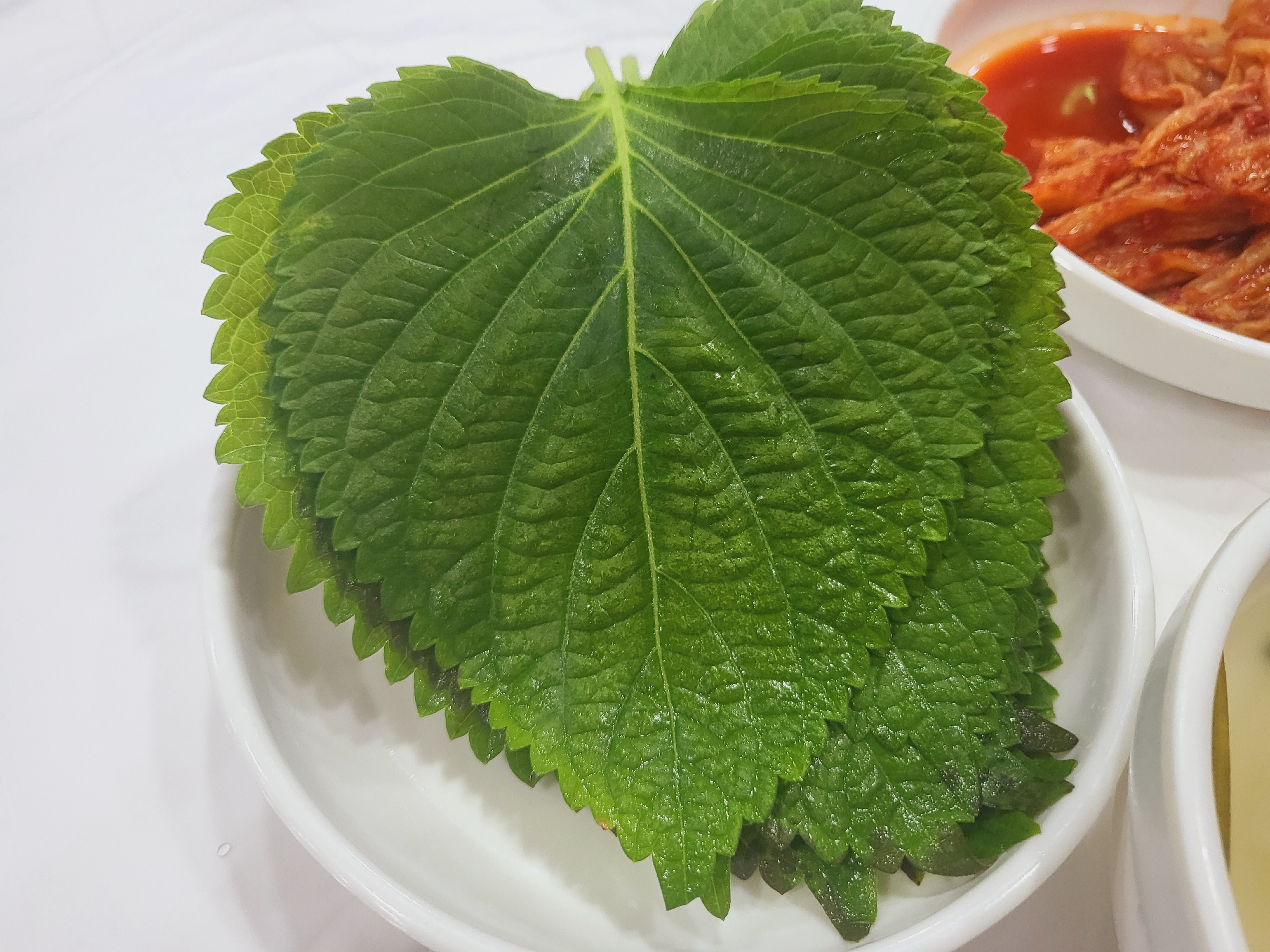 오빠 생일-서산여행8