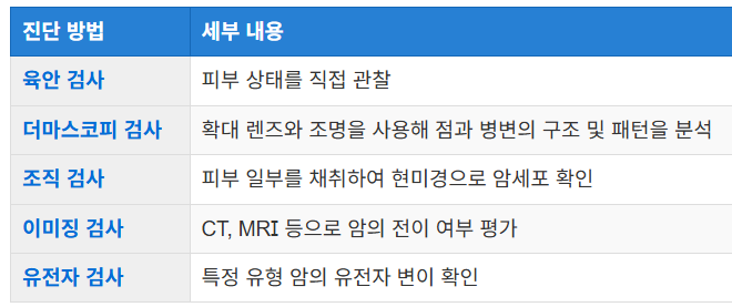 진단 방법 및 검사 과정