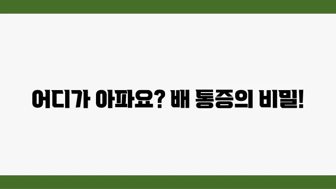 배가 아플때 통증 위치별 참고사항 (윗배, 가운데, 아랫배 통증)