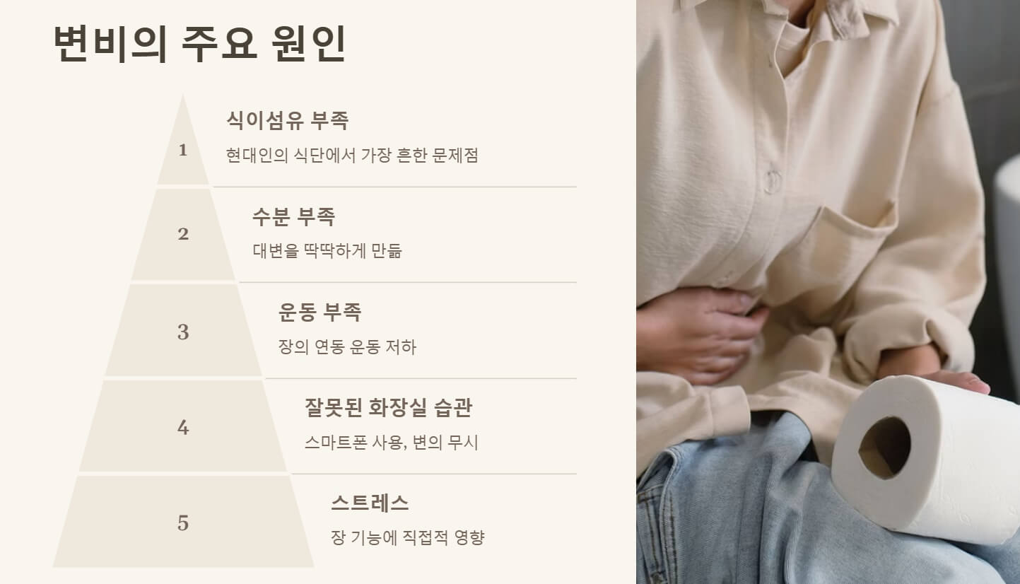 변비 해결방법 원인