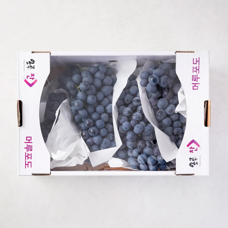 머루포도 효능키우기제철머루포도주 담그기먹는 방법보관 방법 안내_8